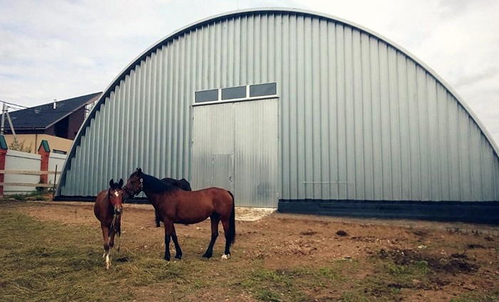 Строительство конных и конноспортивных манежей в Истре и по России